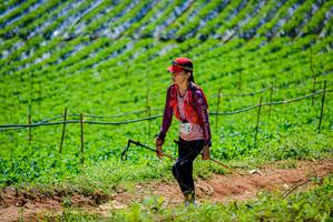 BIB: 
                            <button type="button" onclick="openModal(19164224)" class="btn btn-primary btn-sm float-right btn-popup" data-toggle="modal" data-target=".modal-high-quality">
                        <i class="fas fa-shopping-cart"></i> Add to Cart
                    </button>
                                            <button type="button" onclick="isThisMe(19164224, true)" class="btn btn-success btn-sm float-right btn-popup btn-isme hidden" data-toggle="tooltip" data-placement="bottom" title="นี่คือรูปของคุณใช่ไหม คลิกที่นี่เพื่อเอาเข้าอัลบั้ม">
                        <i class="fas fa-plus"></i> Add to album
                    </button>
                    <button type="button" onclick="isThisMe(19164224, false)" class="btn btn-warning btn-sm float-right btn-popup btn-isnotme hidden">
                        <i class="fas fa-ban"></i> Remove from album
                    </button>